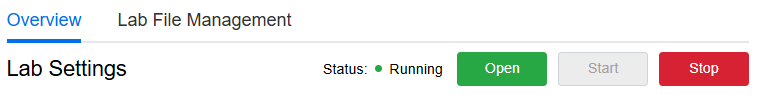 Status of a running lab